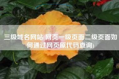 三级域名网站(网页一级页面二级页面如何通过网页原代码查询)