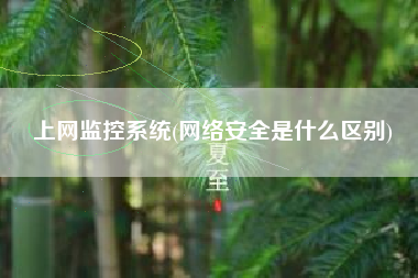 上网监控系统(网络安全是什么区别)