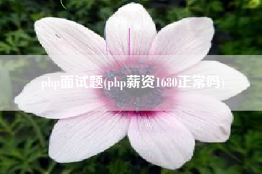 php面试题(php薪资1680正常吗)