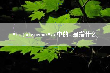 97.se(nikeairmax97se中的se是指什么)