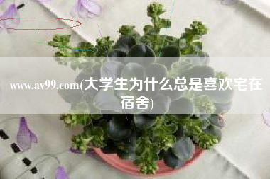 www.av99.com(大学生为什么总是喜欢宅在宿舍)