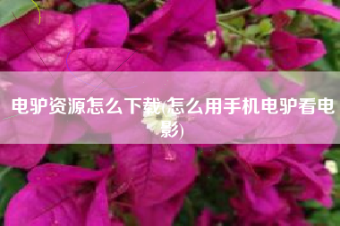 电驴资源怎么下载(怎么用手机电驴看电影)