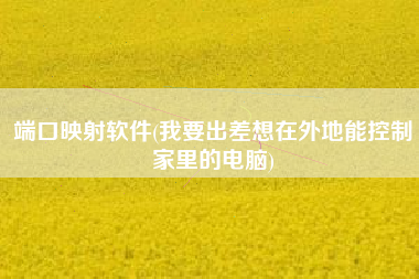 端口映射软件(我要出差想在外地能控制家里的电脑)