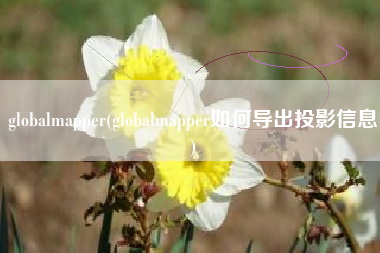globalmapper(globalmapper如何导出投影信息)