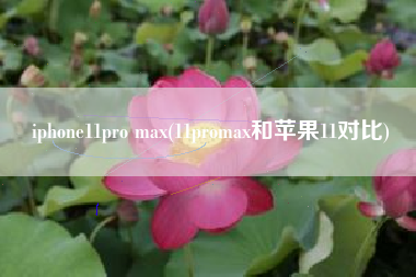 iphone11pro max(11promax和苹果11对比)