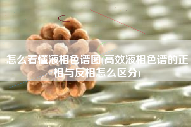 怎么看懂液相色谱图(高效液相色谱的正相与反相怎么区分)