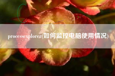 processexplorer(如何监控电脑使用情况)