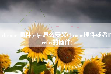 chrome 插件(edge怎么安装Chrome插件或者Firefox的插件)