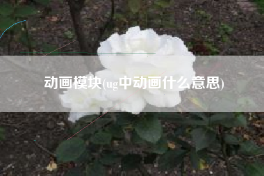 动画模块(ug中动画什么意思)