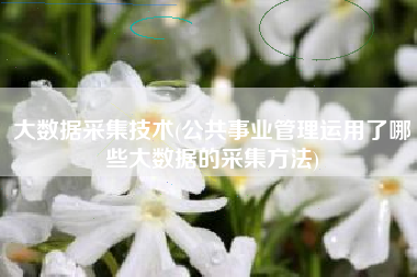 大数据采集技术(公共事业管理运用了哪些大数据的采集方法)