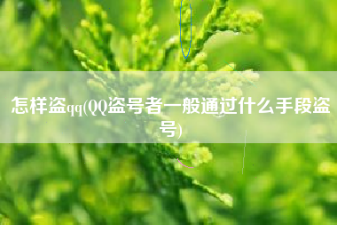 怎样盗qq(QQ盗号者一般通过什么手段盗号)