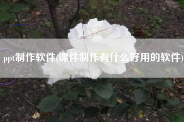 ppt制作软件(课件制作有什么好用的软件)