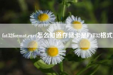 详细阅读:fat32format.exe(怎么知道存储卡是FAT32格式) fat32format.exe(怎么知道存储卡是FAT32格式)