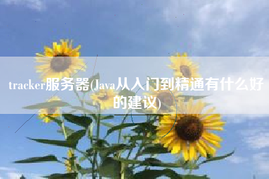 tracker服务器(Java从入门到精通有什么好的建议)