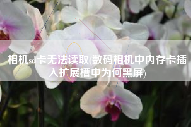 相机sd卡无法读取(数码相机中内存卡插入扩展槽中为何黑屏)