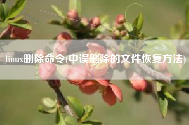linux删除命令(中误删除的文件恢复方法)