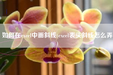 如何在excel中画斜线(excel表头斜线怎么弄)