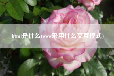 html是什么(www采用什么交互模式)