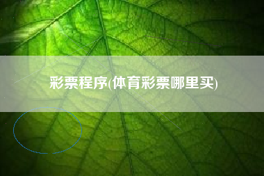 彩票程序(体育彩票哪里买)