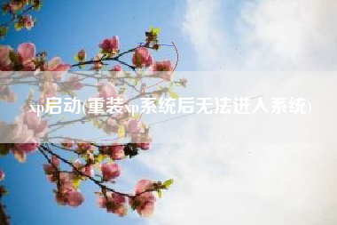 xp启动(重装xp系统后无法进入系统)