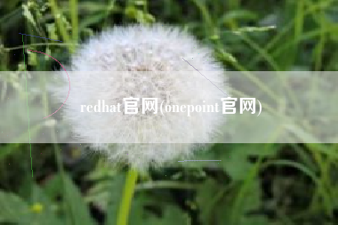 redhat官网(onepoint官网)