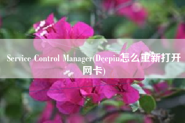 Service Control Manager(Deepin怎么重新打开网卡)
