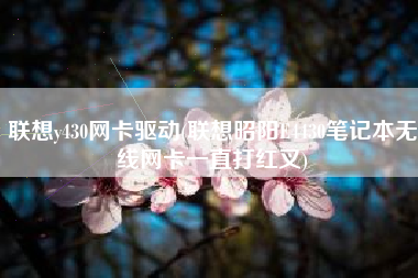 联想y430网卡驱动(联想昭阳E4430笔记本无线网卡一直打红叉)