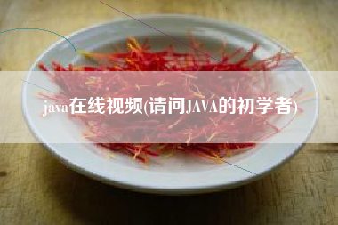 java在线视频(请问JAVA的初学者)