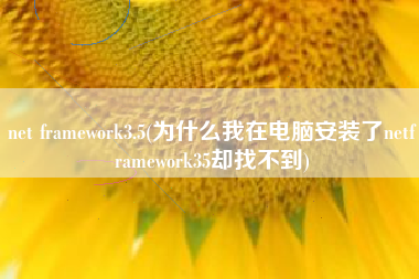 net framework3.5(为什么我在电脑安装了netframework35却找不到)