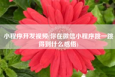 小程序开发视频(你在微信小程序跳一跳得到什么感悟)