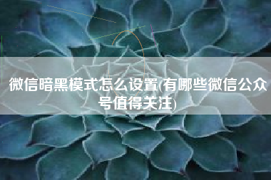 微信暗黑模式怎么设置(有哪些微信公众号值得关注)