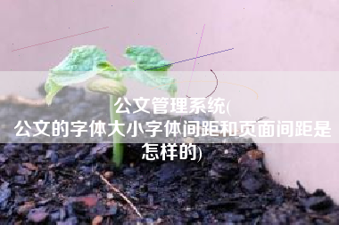 公文管理系统(
公文的字体大小字体间距和页面间距是怎样的) 公文管理系统(
公文的字体大小字体间距和页面间距是怎样的)