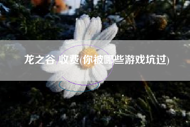 龙之谷 收费(你被哪些游戏坑过)
