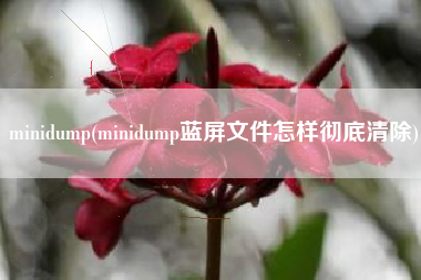 详细阅读:minidump(minidump蓝屏文件怎样彻底清除) minidump(minidump蓝屏文件怎样彻底清除)