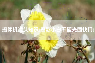 摄像机镜头知识(摄影小白不懂光圈快门)