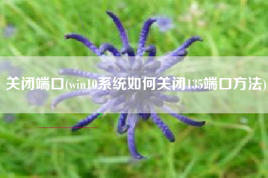 关闭端口(win10系统如何关闭135端口方法)