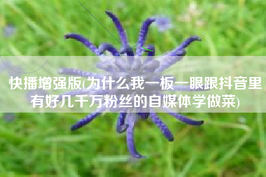 快播增强版(为什么我一板一眼跟抖音里有好几千万粉丝的自媒体学做菜)