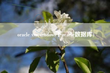 oracle vm(windows下oracle数据库)