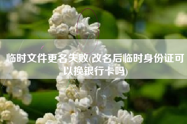 临时文件更名失败(改名后临时身份证可以换银行卡吗)