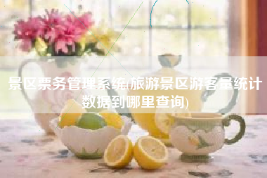 景区票务管理系统(旅游景区游客量统计数据到哪里查询)