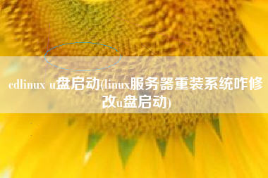 cdlinux u盘启动(linux服务器重装系统咋修改u盘启动)