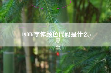 19ffff(字体颜色代码是什么)