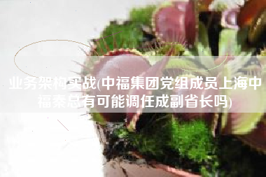 业务架构实战(中福集团党组成员上海中福秦总有可能调任成副省长吗)