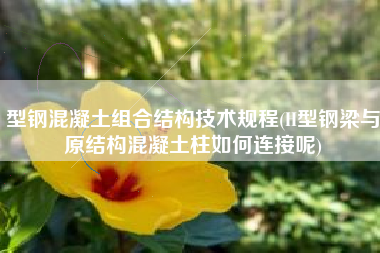 型钢混凝土组合结构技术规程(H型钢梁与原结构混凝土柱如何连接呢)