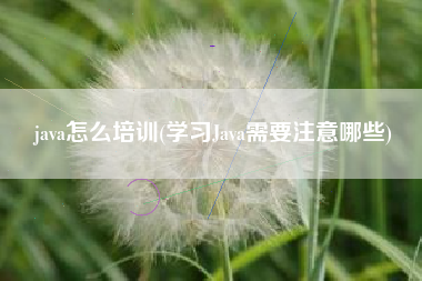 java怎么培训(学习Java需要注意哪些)