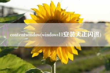contentwindow(windows11安装天正闪退)