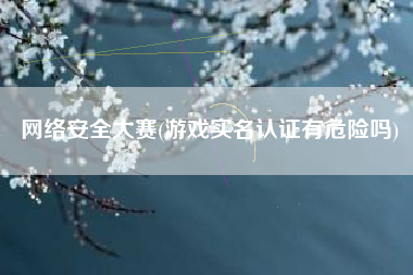 网络安全大赛(游戏实名认证有危险吗)