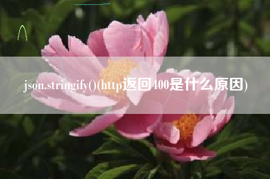 json.stringify()(http返回400是什么原因)
