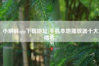 小蝌蚪app下载地址(手机本地播放器十大排名)