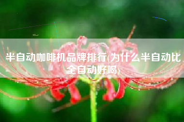 半自动咖啡机品牌排行(为什么半自动比全自动好喝)